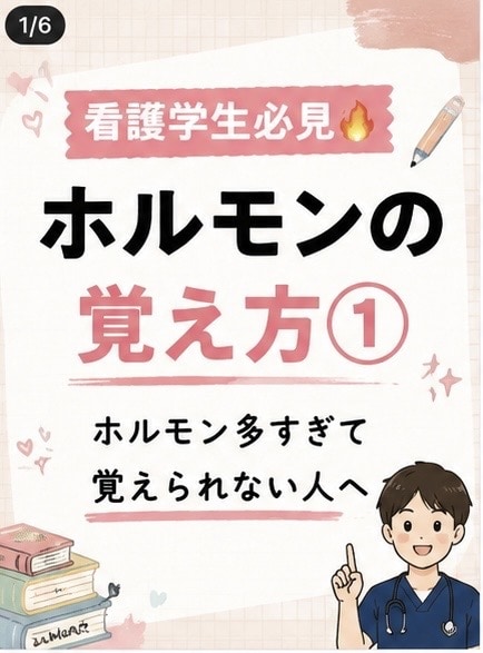 看護学生向けホルモンを覚えられる資料を作成します 解剖生理が苦手な方へ！分泌部位や作用、覚え方をまとめます イメージ2