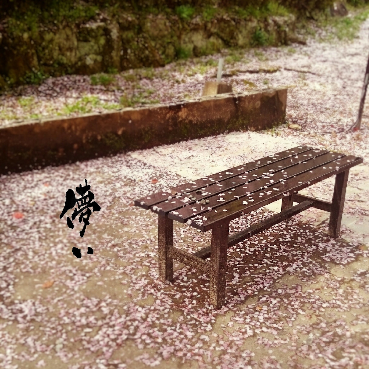お好きな画像に文字を書きます オリジナル感のある写真が欲しい方 イメージ2