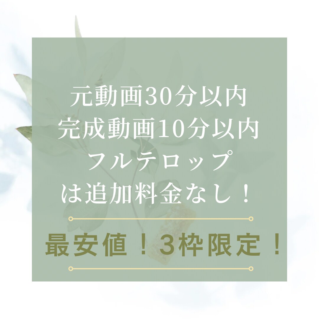 最安値でYouTube用動画編集します サンプル動画を確認後気に入らなければキャンセル可能です！ イメージ1