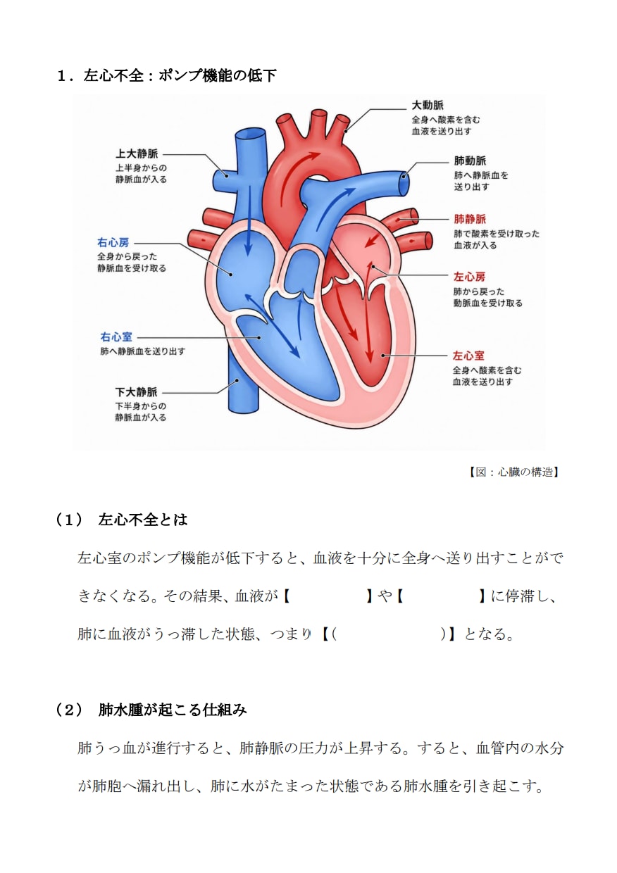 看護教員向け：講義資料などの作成代行します 臨床経験７年＋看護教員歴８年　授業準備を効率化したい方へ イメージ3