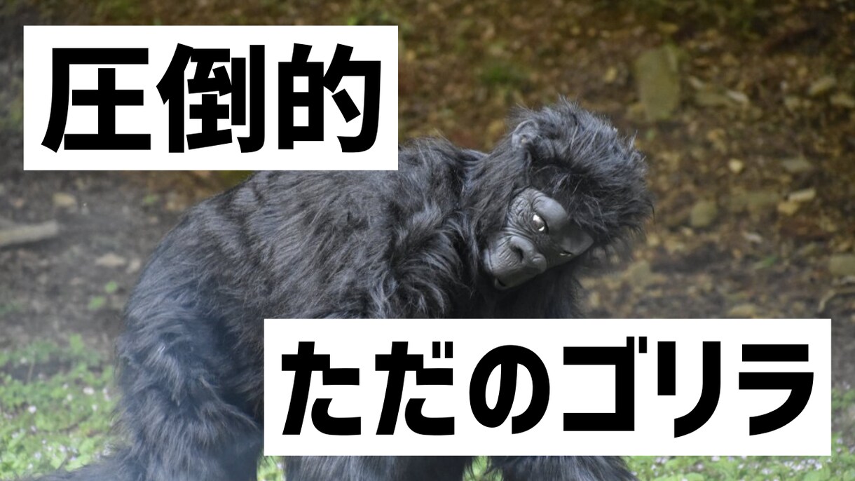 YouTubeのサムネイルを作成します YouTubeサムネイルの作成！！！ イメージ3
