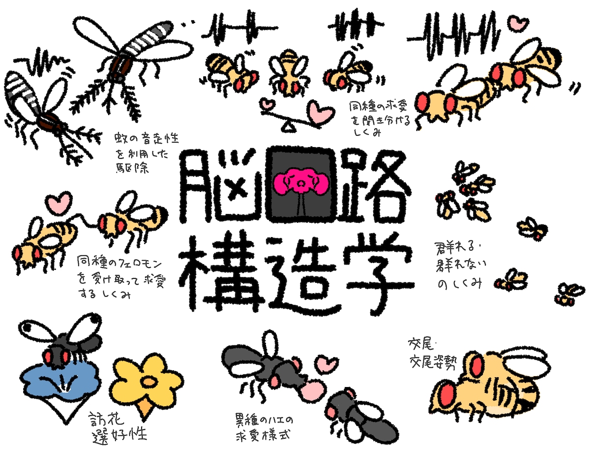 説明用イラスト描きます フリーイラストを探しても見つからない!意図に合ったイラスト イメージ2
