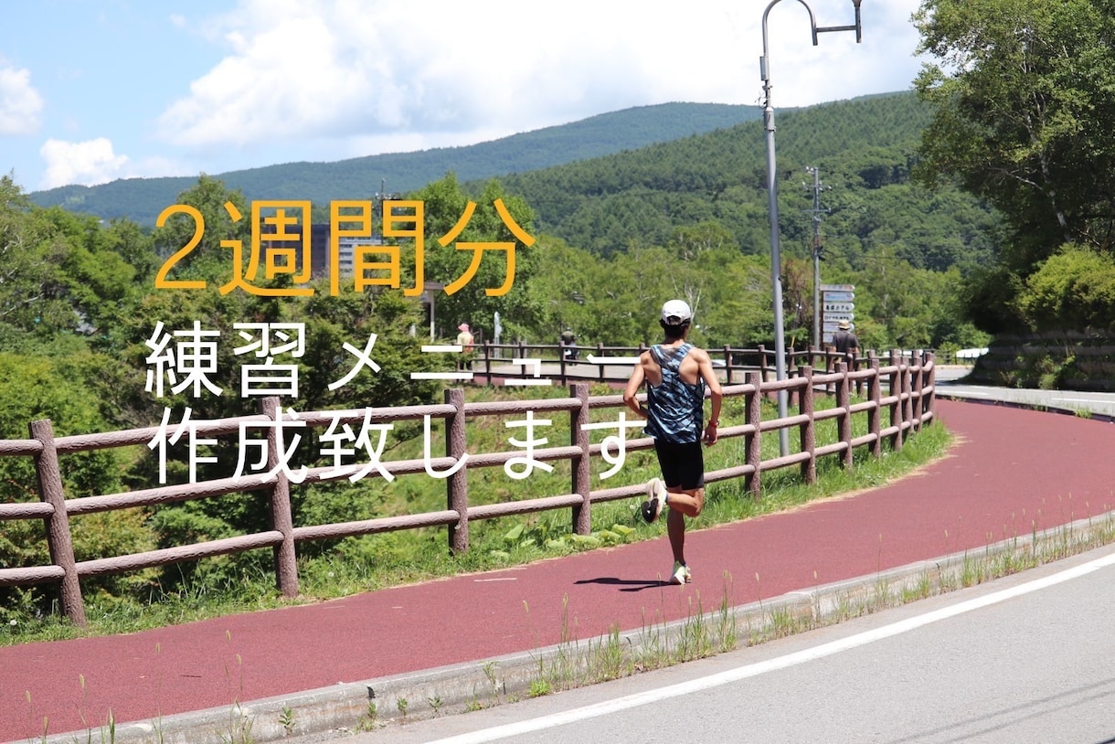 ランニングの練習メニュー2週間分作成します 箱根駅伝出場の経験を活かし皆様に合ったメニューを作成します。 イメージ1