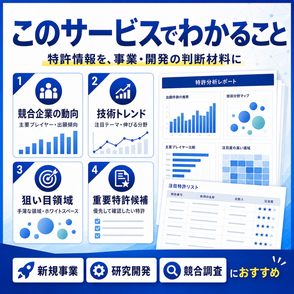 特許動向レポートを作成します 競合・技術トレンドを見える化します イメージ2