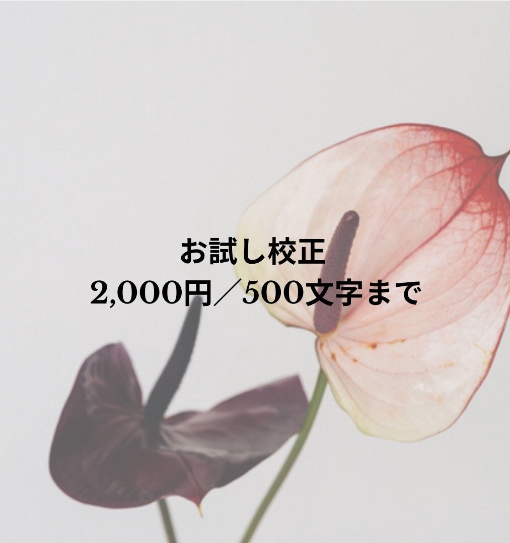文章を自然で読みやすく整えます SNS・プロフィール文対応可能です イメージ1