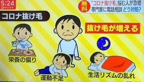 頭皮のカウンセリングの達人があなたの相談に乗ります ３０年の実績！抜け毛・薄毛・頭皮でお悩みの方お気軽に相談を！ イメージ8