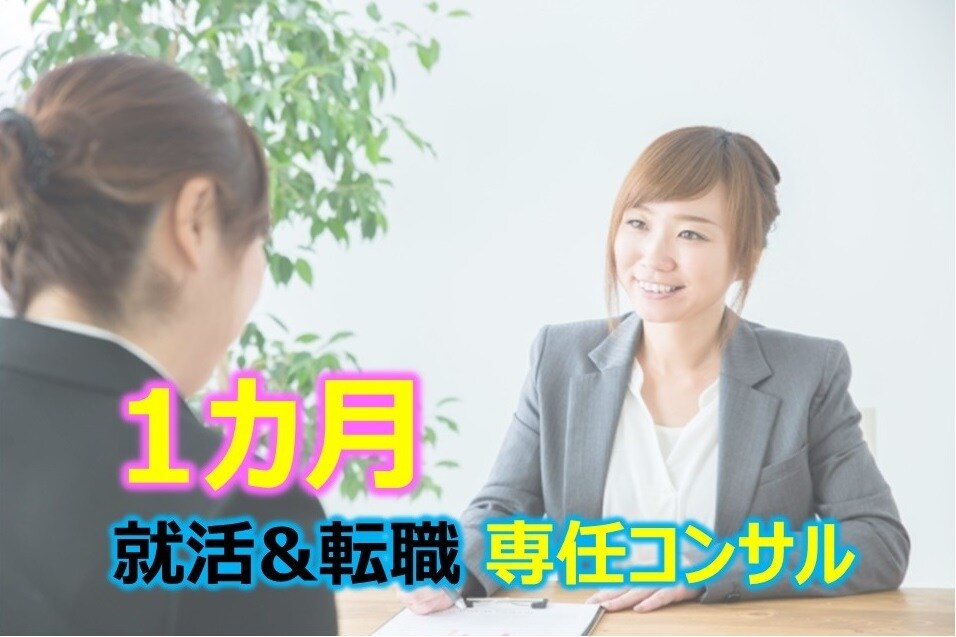 １か月定額質問し放題◆就活＆転職のコンサルします ES/職務経歴書の添削や面接対策など納得いくまで専任指導！ イメージ1