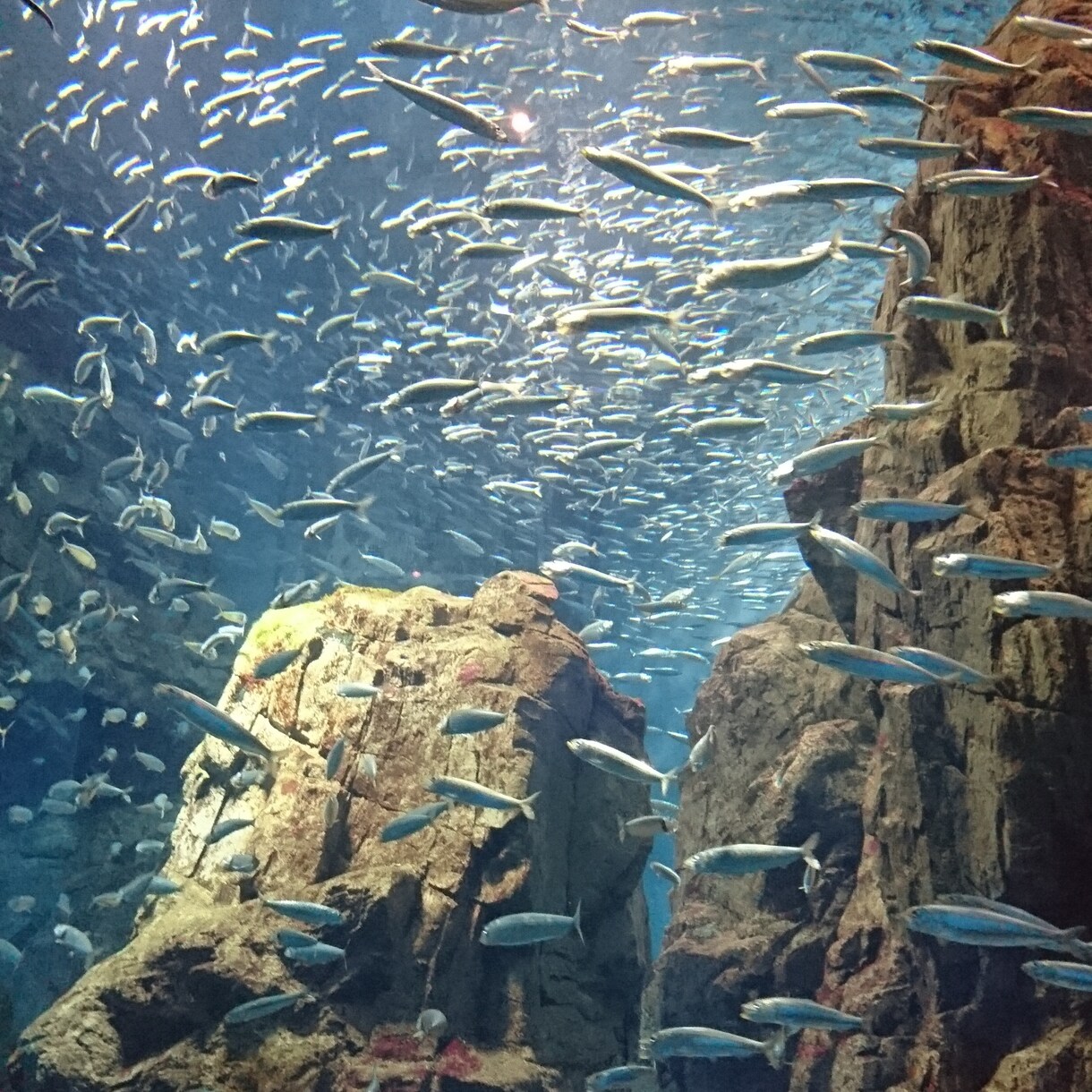 あなたのお気持ち、聴かせて頂きます 介護、病気、家庭、育児など、様々な気持ちを話してみませんか？ イメージ3
