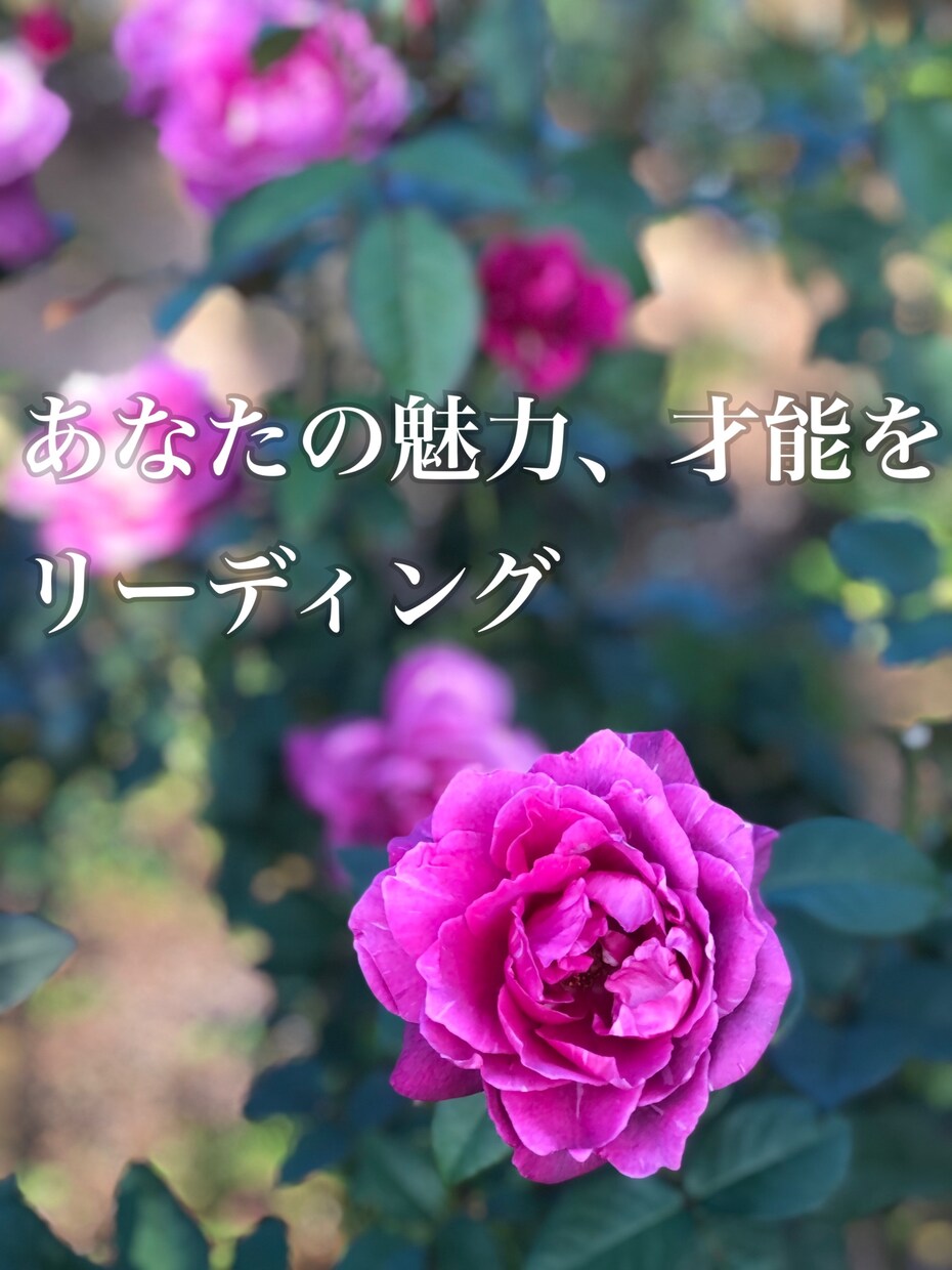 あなたの素敵な魅力や才能、強みをリーディングします あなたがまだ気づいていない魅力や才能をお伝えします。 イメージ1