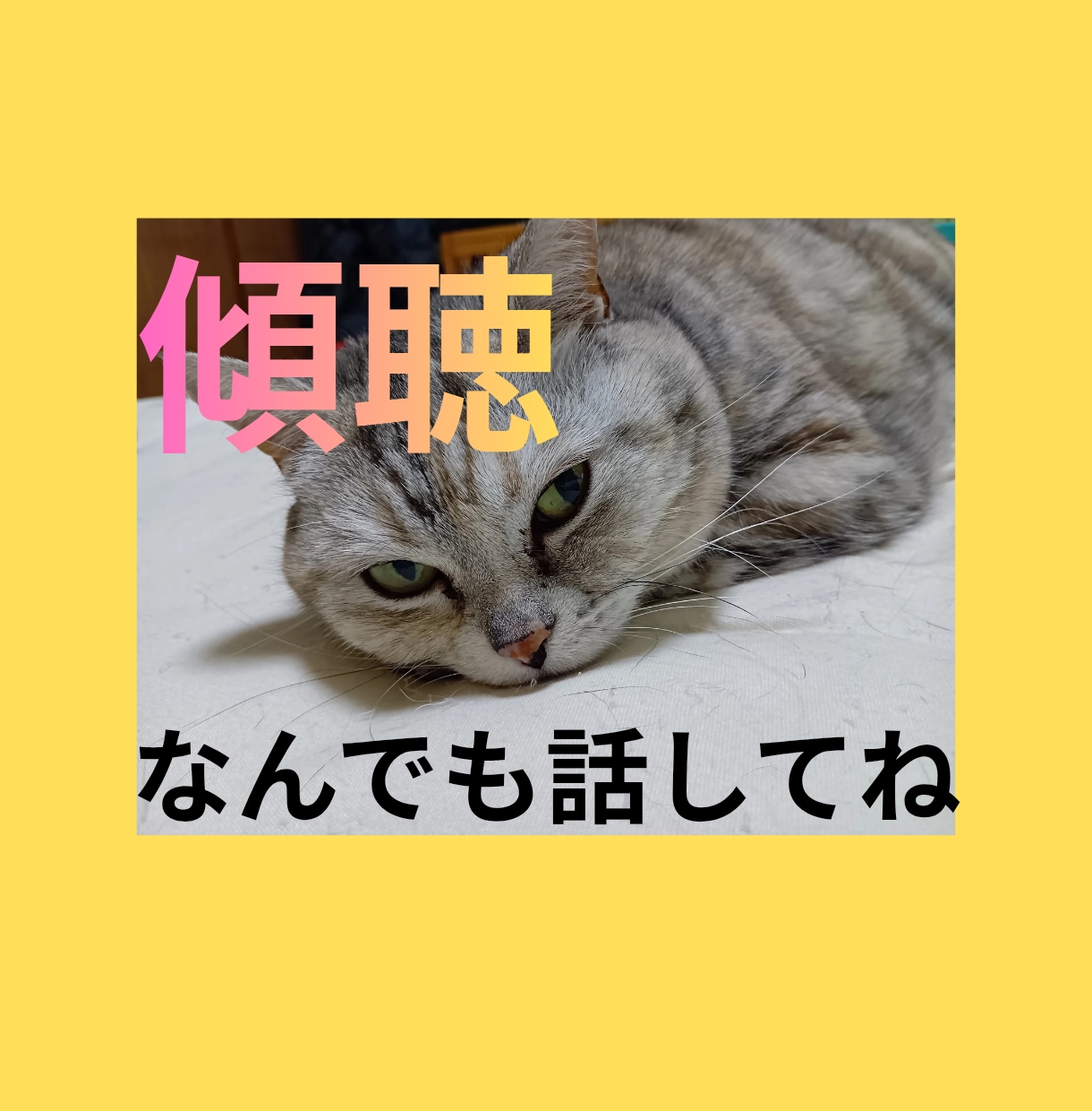 傾聴★あなたの今聞いて！！を全て受入れます 傾聴のプロとして否定批判アドバイスの押付け一切いたしません イメージ6