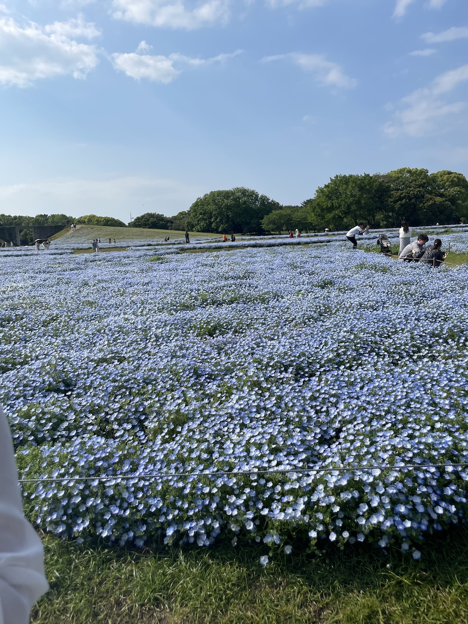 最安値‼️がん患者様やその御家族様の相談のります 最後まであなたらしく過ごす～がんと向き合う～ イメージ1