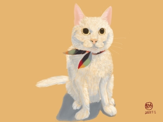 ペットイラストをポストカード+額縁でお届けします 絵で犬猫の笑顔も人の心も豊かに。収益一部を保護犬猫活動に寄付 イメージ2