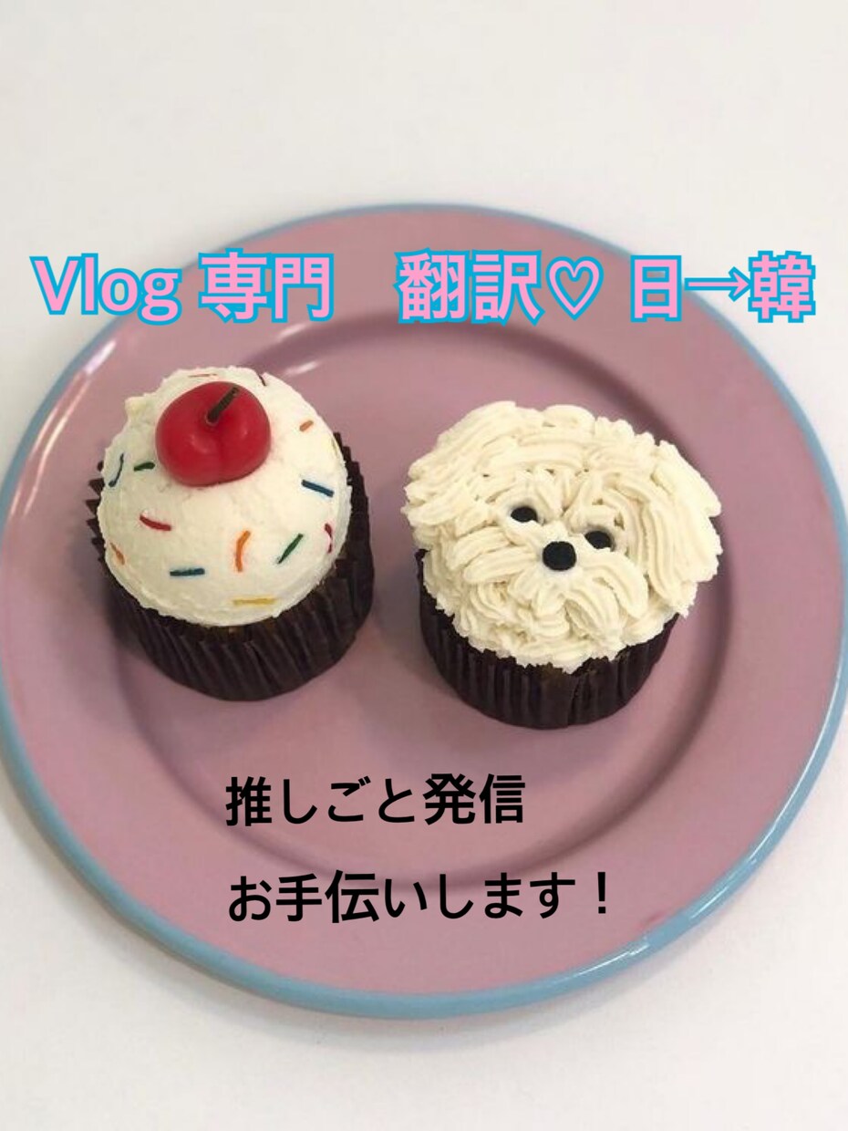 Vlog発信してる方翻訳お手伝いします 韓国語翻訳(日→韓 韓→日)承ります！ イメージ1