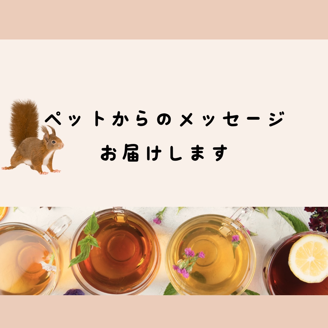 ペットからのメッセージをお届けします 複数質問したい、ニュアンスもしっかり感じ取りたい方にお勧め イメージ1