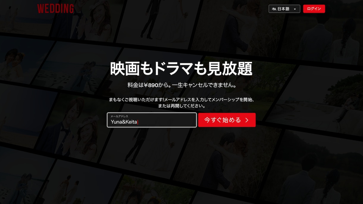 NETFLIX風のプロフィール・OPを制作します 広告でゲストをいじり、盛り上がること間違いなし✓ イメージ4