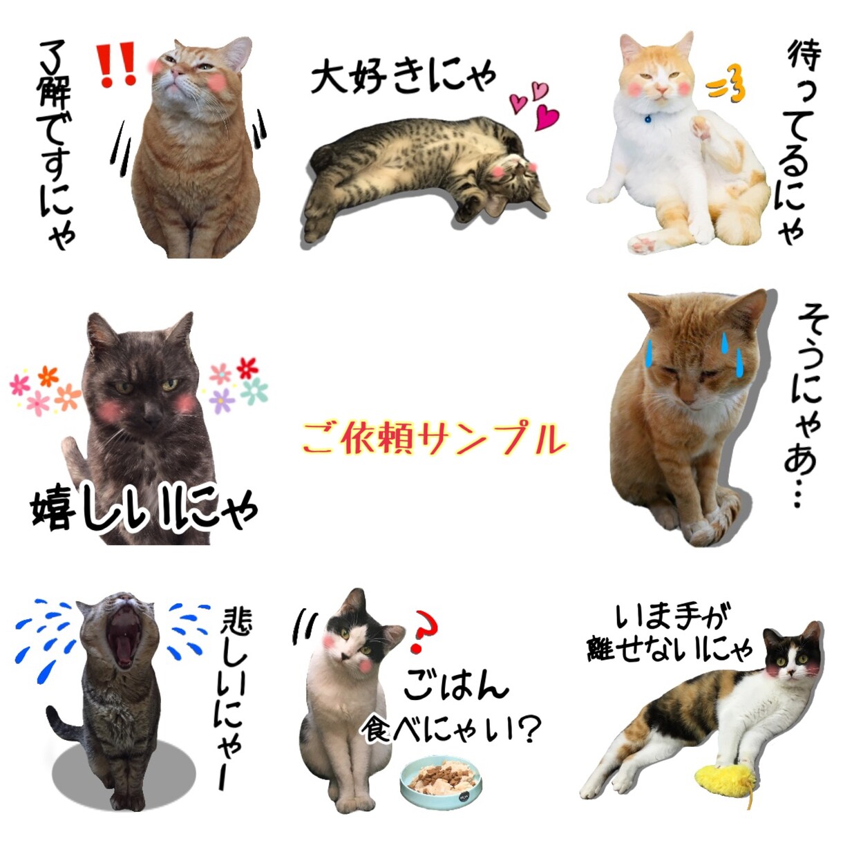 お写真を使ってLINEスタンプお作りいたします 無料修正、申請作業サポート有り！使い易いスタンプ作ります☆ イメージ7