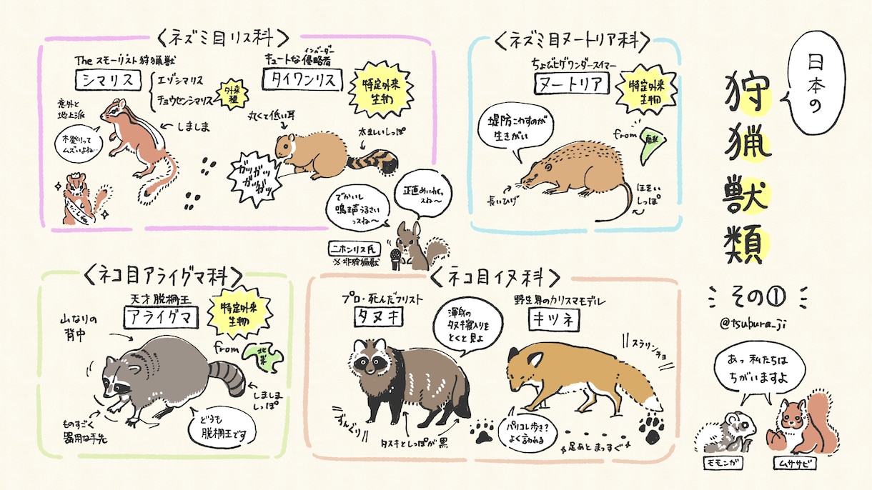自然教室や森林学習向けのパンフレットを作成します かわいいイラストで楽しく学ぼう！ イメージ4