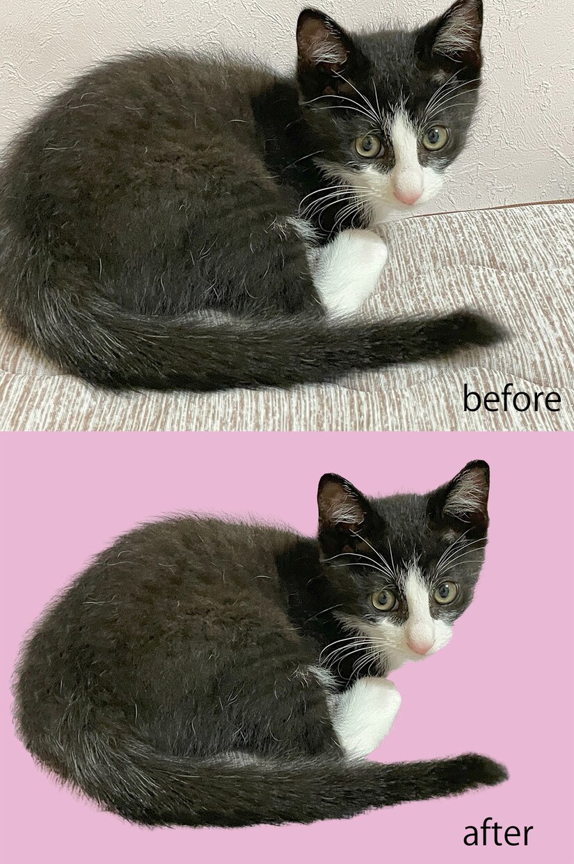 photoshopを使って写真の補正承ります 日常の写真をお気に入りの一枚にします！ イメージ3