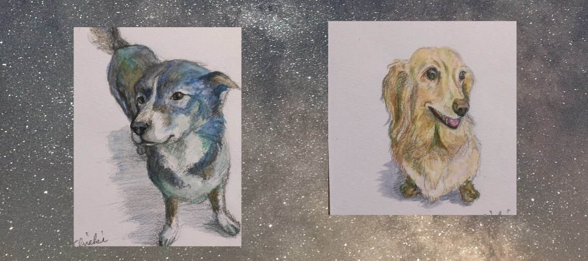 ペットの絵、描きます 大切なご家族の姿を、写真とはまた違う形で飾りませんか？ イメージ4