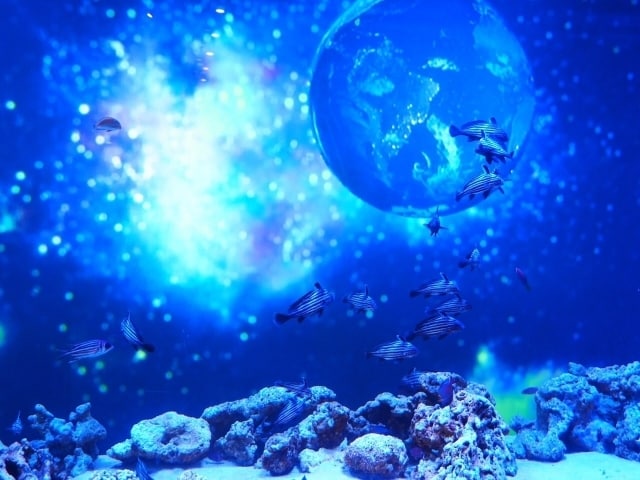 オラクルカード☆あなたへ今必要なメッセージ伝えます 恋愛、仕事、運気☆必要なメッセージを天使から伝えます☆ イメージ4
