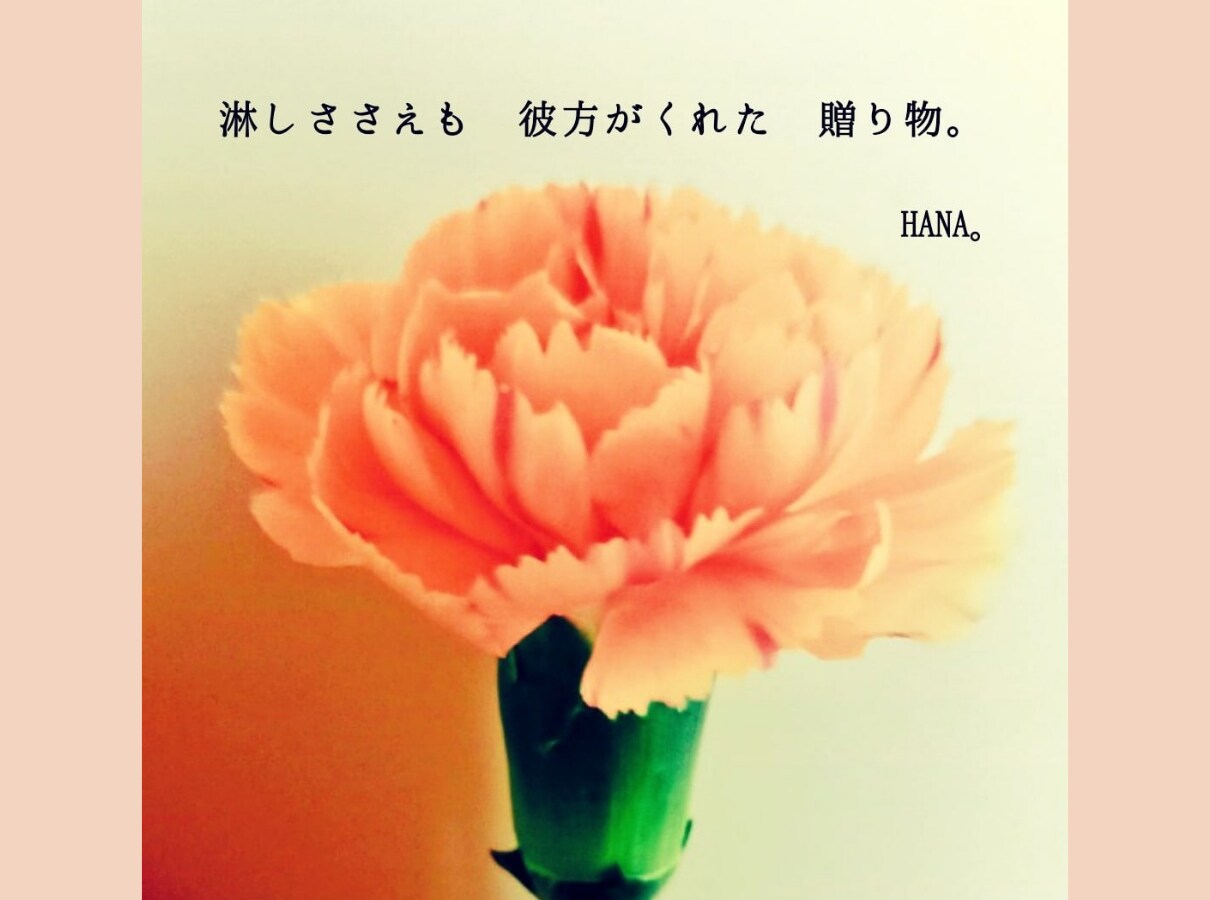 HANA。の一声♡差し上げます 一言OK！おはよ／お疲れ様／頑張れ／無理しないで／一声対話☆ イメージ5