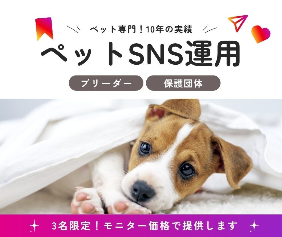 丸投げ【モニター価格】ペットのSNS運用代行します ペットの譲渡、ブランディングなど理想をペットのプロが叶えます イメージ1