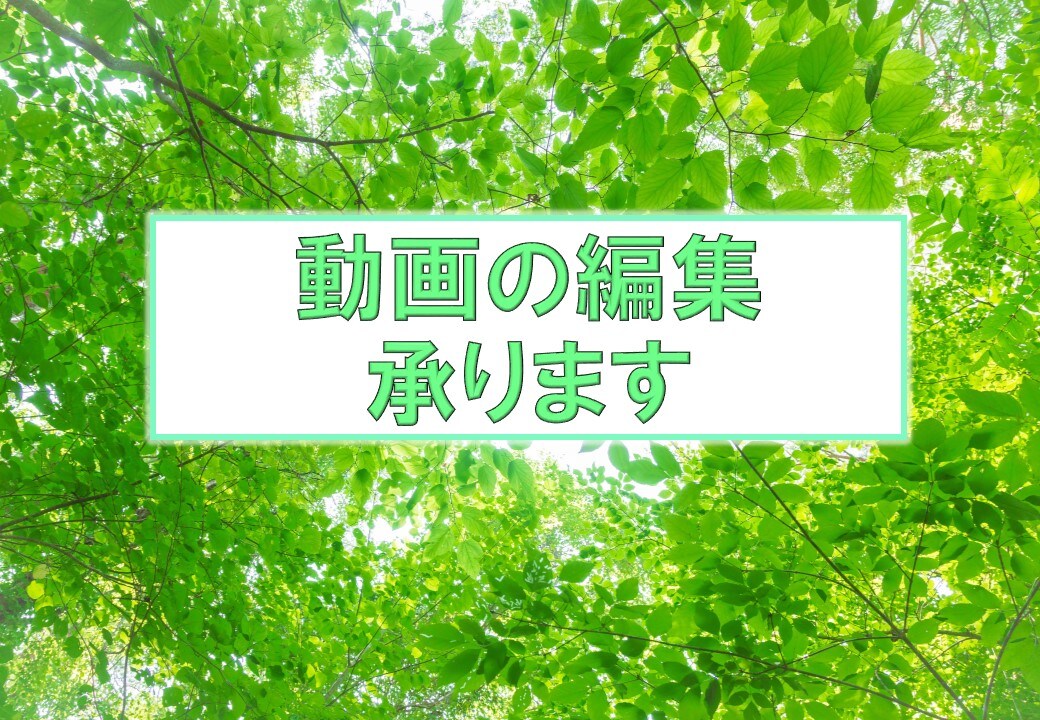 称号取得まで限定　動画編集5分以内5千円で承ります イベントで使用する動画の編集など、ご相談承ります。 イメージ1