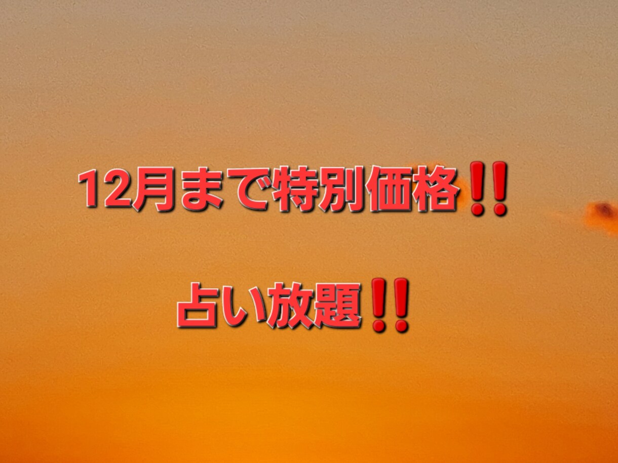 12月まで特別価格で鑑定させて頂きます 占い放題 恋愛 仕事 金運 2024年運気等複数ok 恋愛 ココナラ