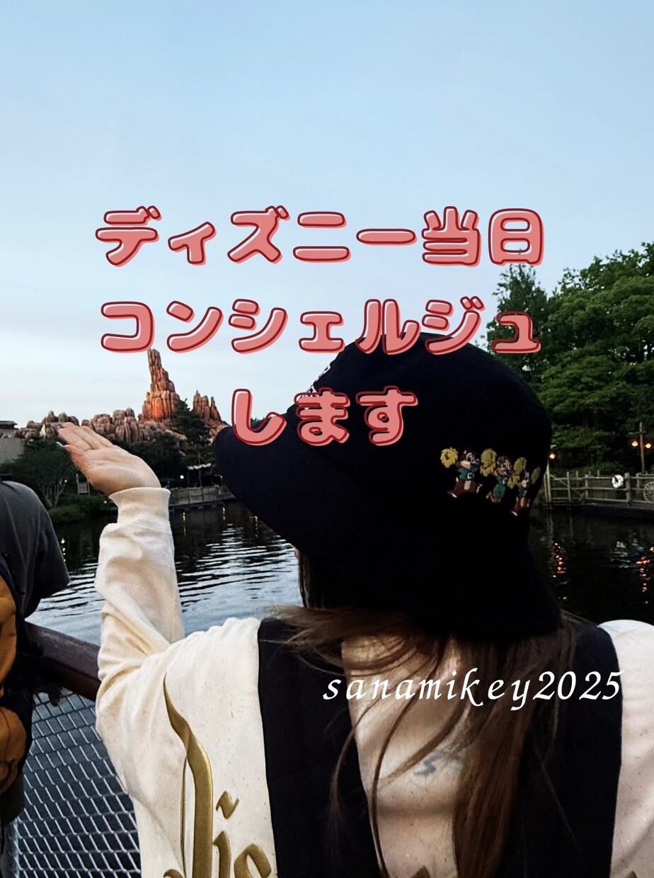 当日ディズニー回り方をコンサルティングします パーク入園後、待ち時間や天候を配慮した最適解をお伝え！ イメージ1