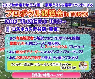 月間30万PVブログに広告します ピンポイントで効果あり。オプションでバナー画像制作 イメージ2