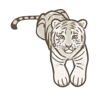 動物をデフォルメしたイラスト描きます 「元動物園の飼育員」がイラスト描きます。 イメージ2
