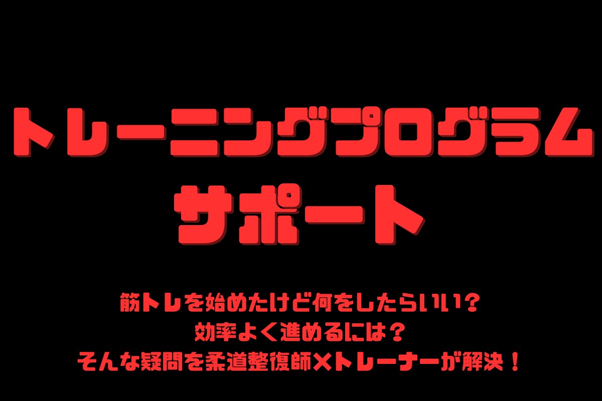 筋トレプログラムの選び方をアドバイスします プログラムってなに？効率よく筋肥大・筋力アップしたい人向け イメージ1