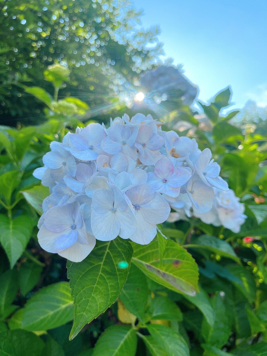 あなたのお気持ちお聞きします ⭐︎素敵なあなたを取り戻すお手伝い⭐︎癒しと安心を⭐︎ イメージ1