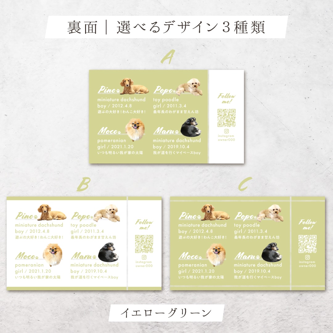 4頭限定×フェミニンが可愛いペット名刺制作します ４頭限定！印刷代込み100枚！オフ会・イベントで大活躍♩ イメージ2