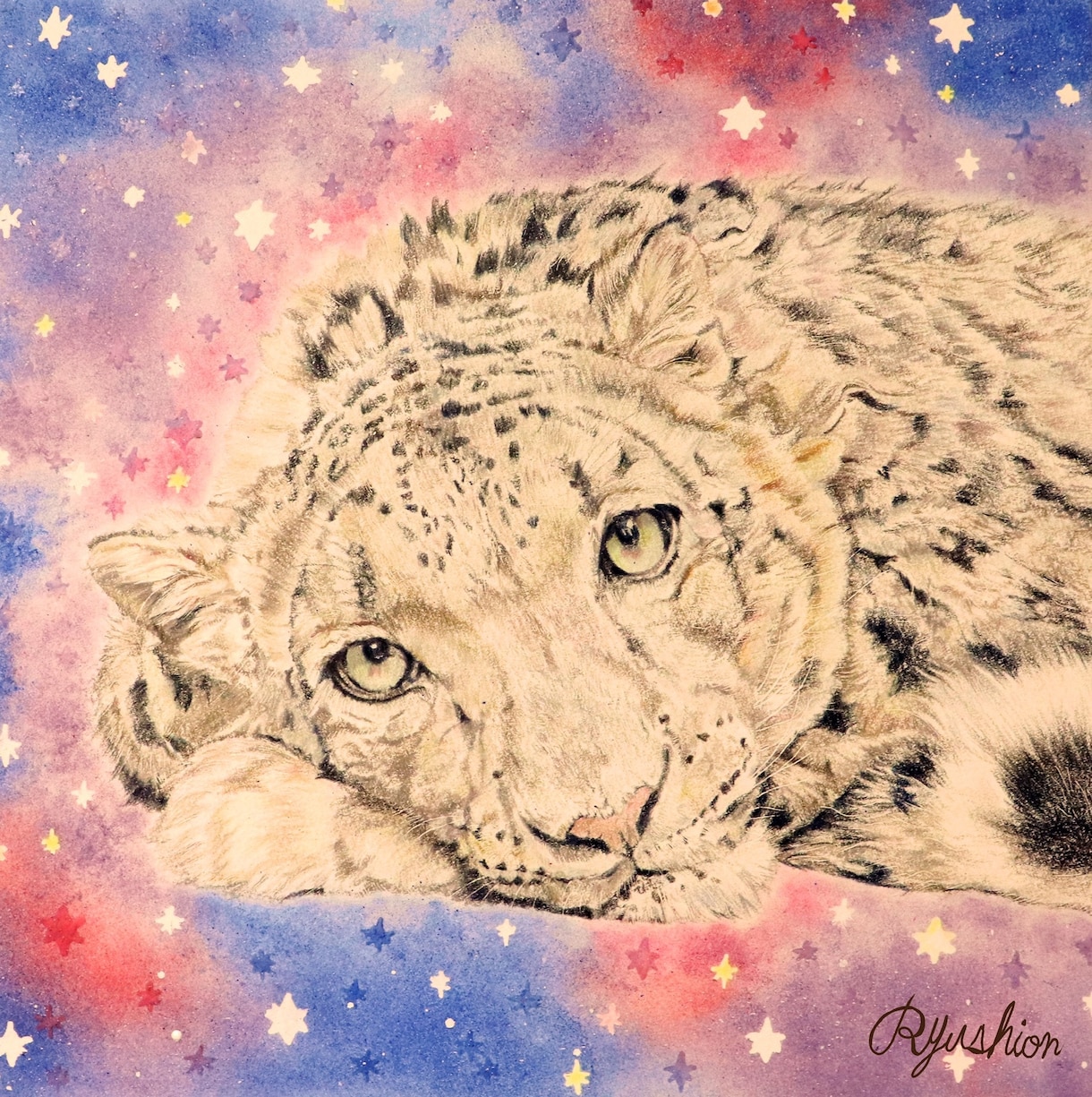 色鉛筆でペット絵お描きします 【現役20代デザイナー】がぬくもりを感じる1枚を描きます イメージ4