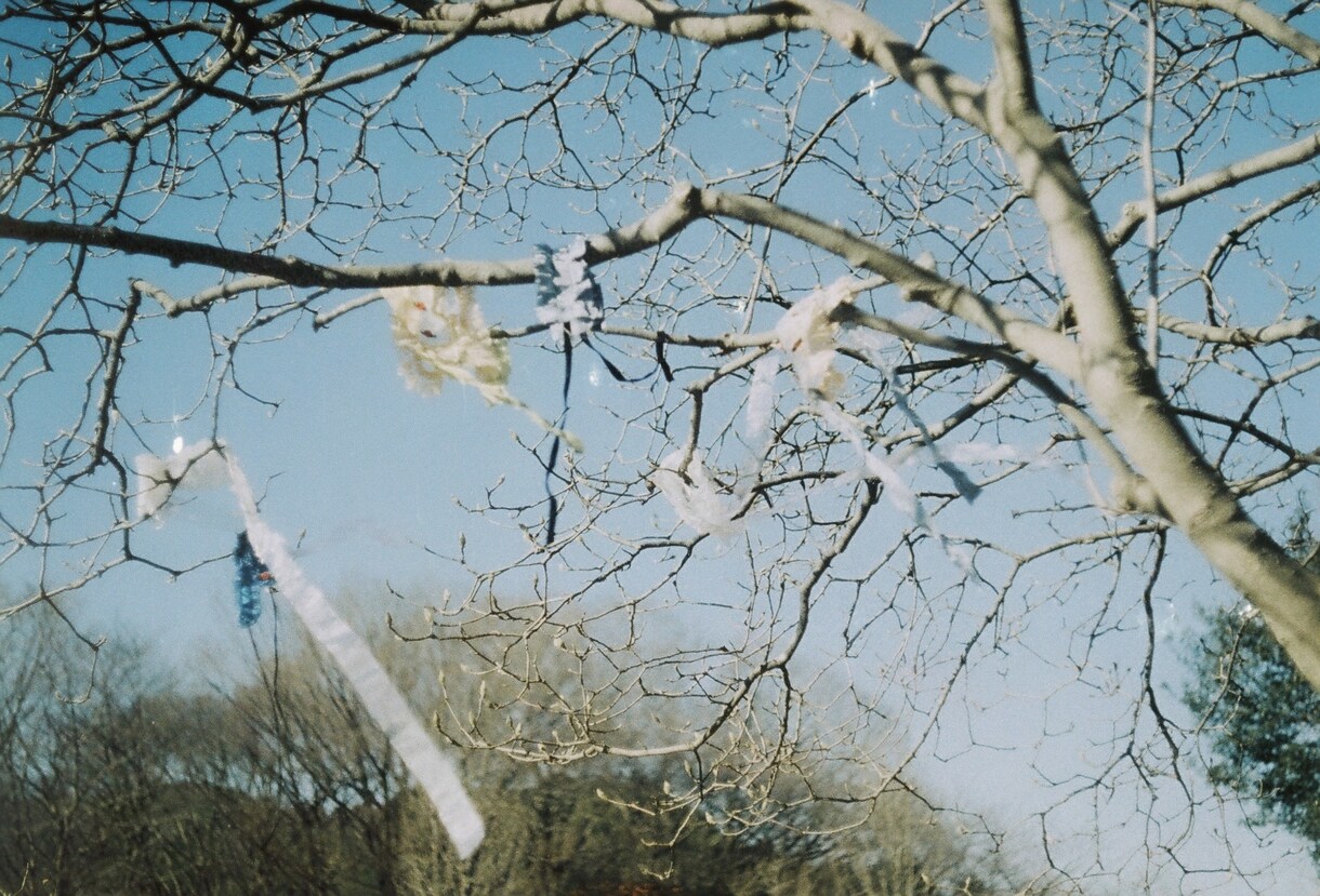 フィルムカメラで宣材写真撮影致します お洒落！エモい！写真で差をつけろ！ イメージ3