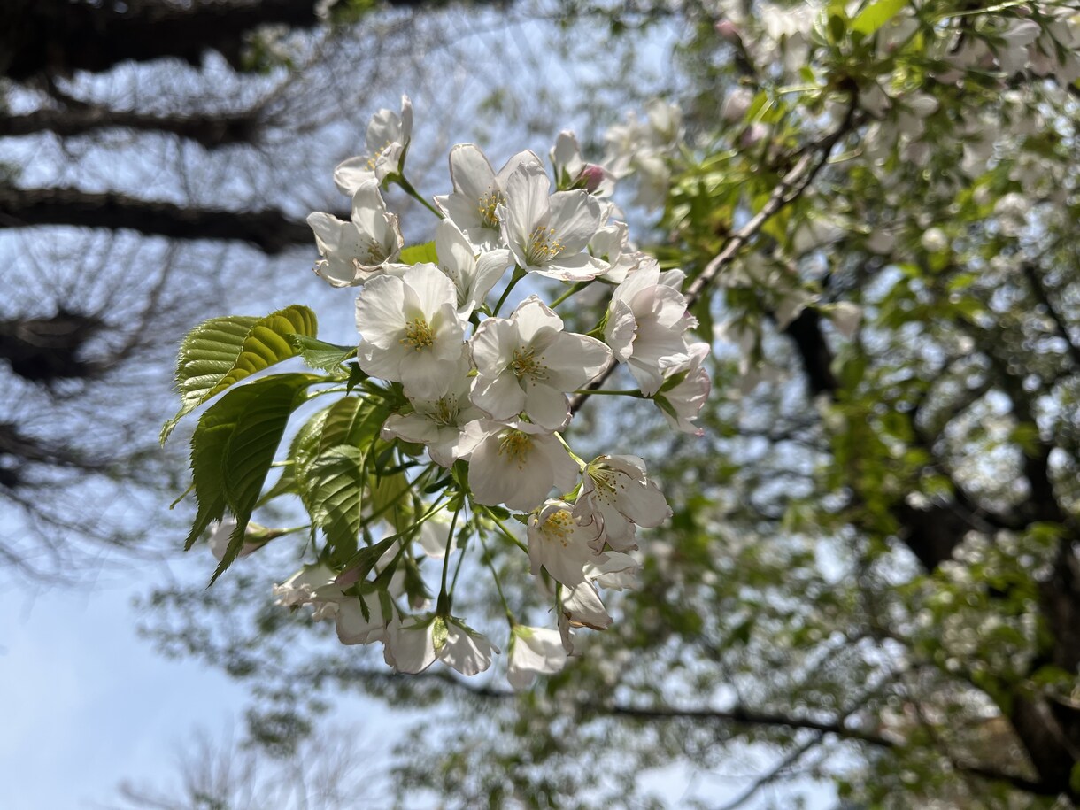 恋愛や不安のモヤモヤ、否定せずゆっくり聞きます 考えすぎてつらい時、ひとりで抱えなくていいです。 イメージ3