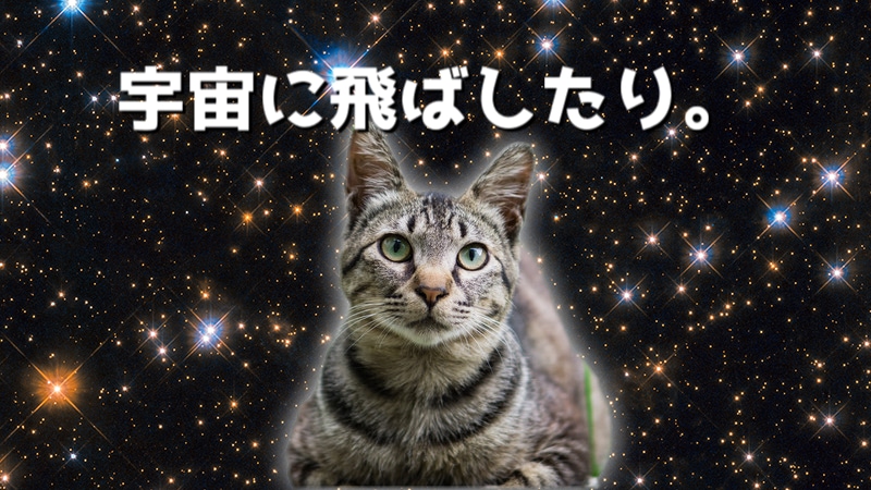 画像加工★背景透過素材の作成承ります 画像素材作成でお困りの方必見！ イメージ2