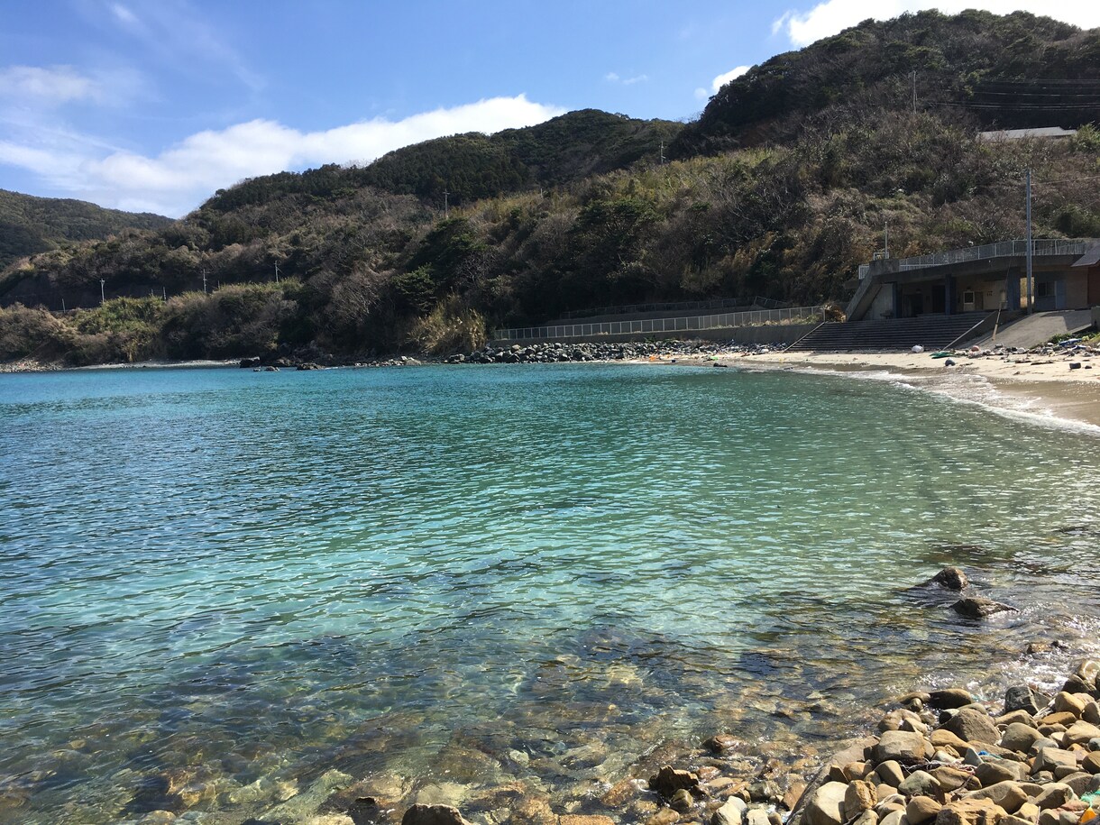自然、森林浴の効用について解説します 自然に触れると心地良いのは何故！？ イメージ1