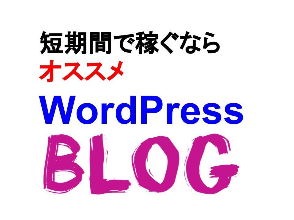 ライター直伝！短期間で稼げる副業のやり方を教えます WordPressブログに記事を書いて、副収入を生み出そう！ イメージ1