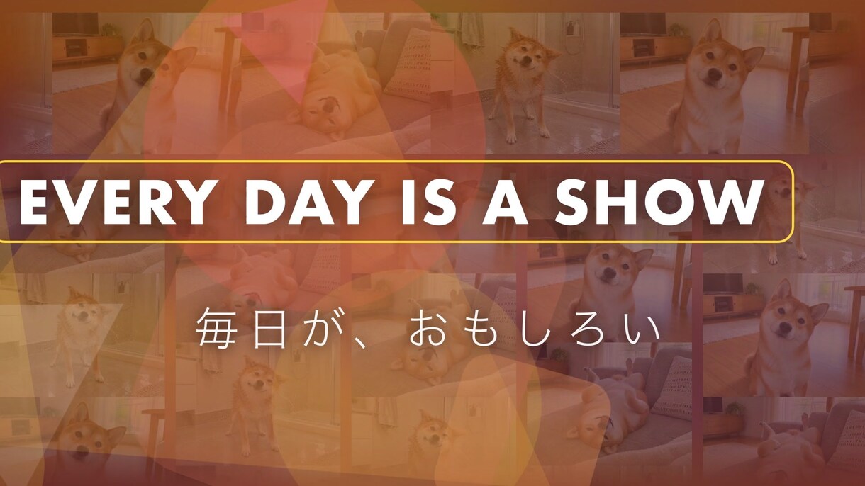 ポップに動く！ペットの思い出ムービー作ります お気に入りで15%オフ 写真と動画で約3分 イメージ4