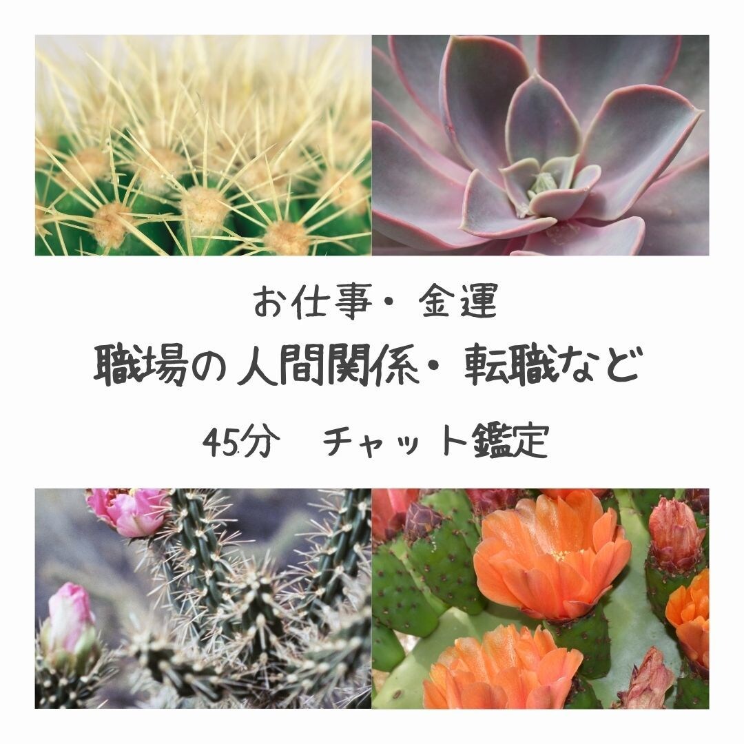 45分深掘りチャット　透視タロットします お仕事・人間関係・転機を深掘りします イメージ1