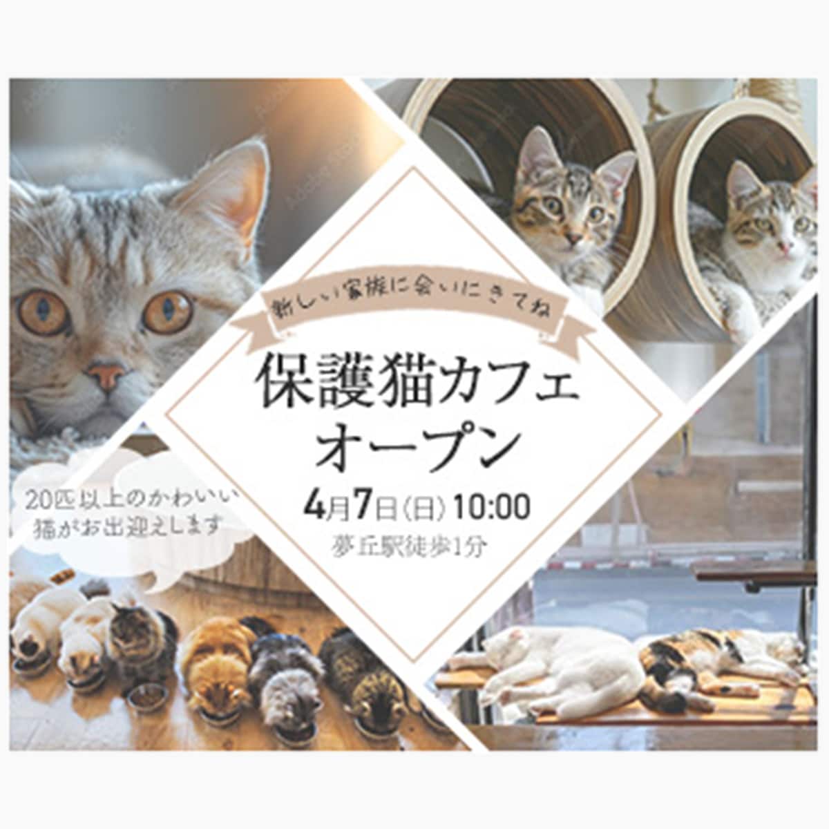 まるっとお任せ！【WEB画像】なんでも制作します 修正無制限！まずはご相談ください！ イメージ5