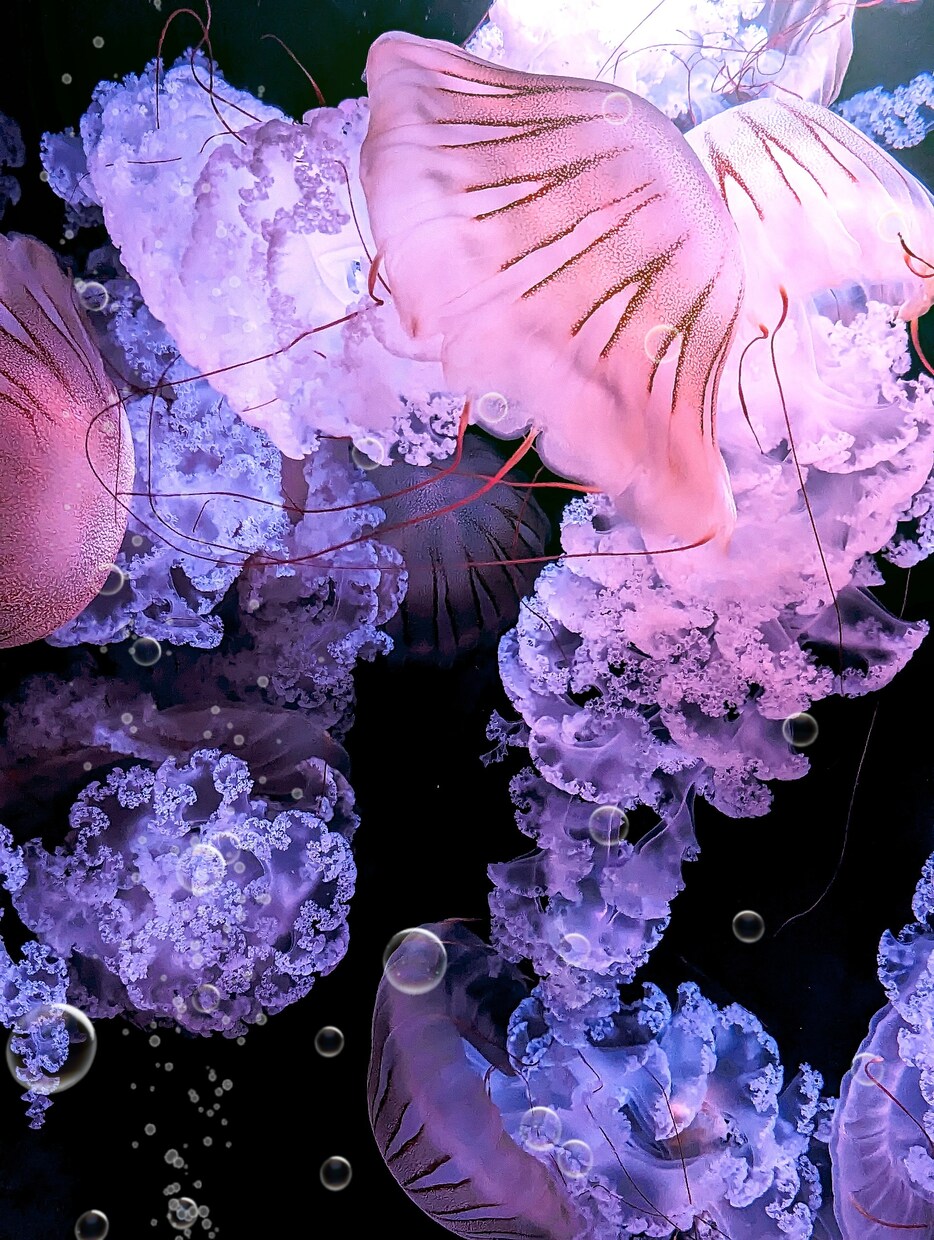 プロ使用のソフトで貴方の好みの写真加工します ご指定サイズで写真にCGや直接描き込みをして加工します！ イメージ2