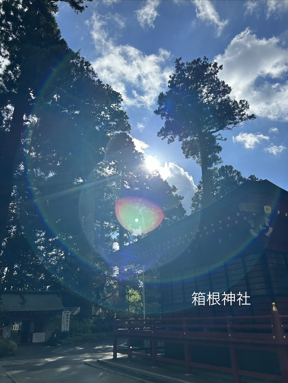 電話占い⭐︎天性霊感・エンパスでバシっと鑑定します ⭐︎霊感カード占い: 恋愛・仕事・人間関係など占います⭐︎ イメージ9