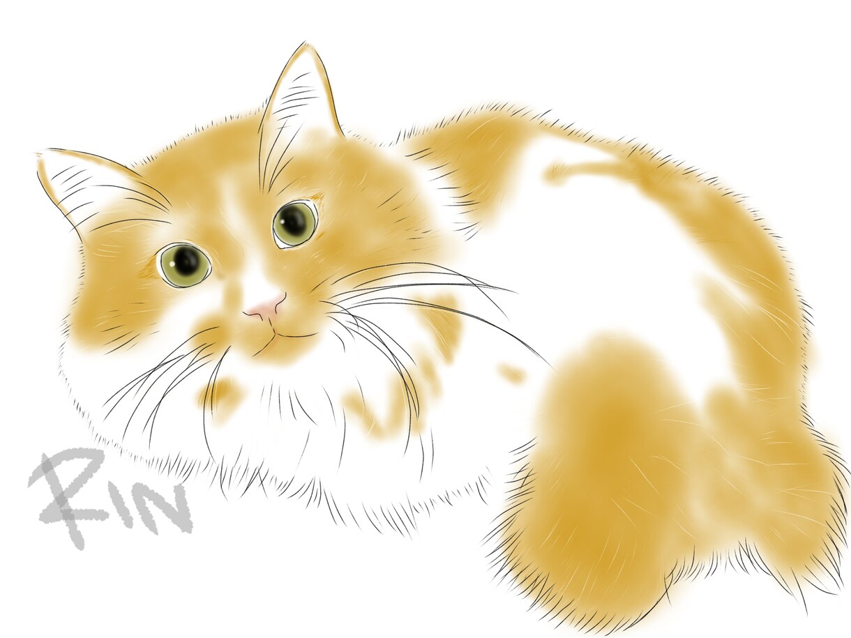 大切なペットの似顔絵描きます 写真を模写し、柔らかい色を付けてお渡しします。 イメージ2