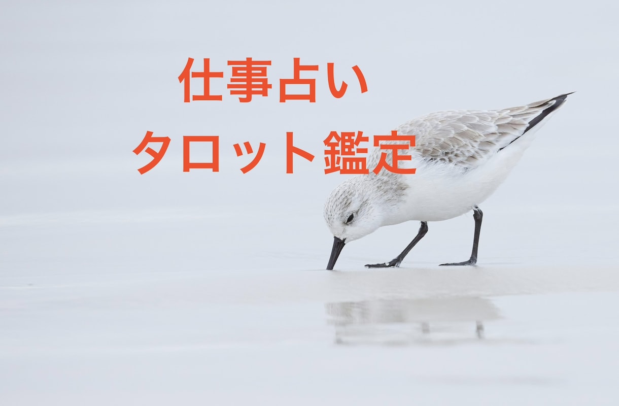 AIで占っても満足出来ない方へ！仕事運読み取ります 経歴20年以上★タロットで深く読み取ります！ イメージ1