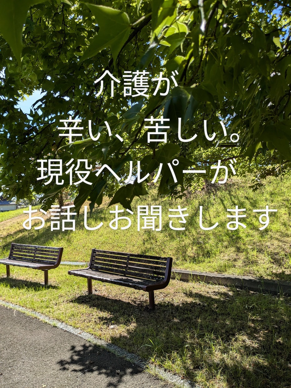 介護が辛い！！現役ヘルパー全力でお話し聴きます 本音を聞かせて。理想と現実で追い詰められ苦しいあなたに。 イメージ1
