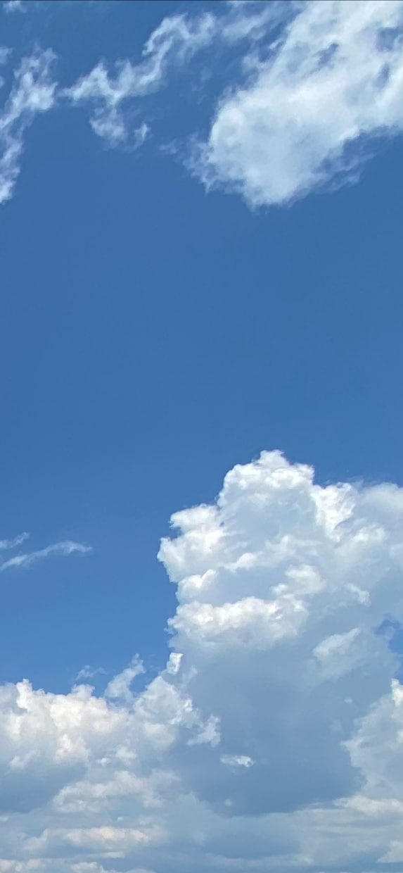 仕事の悩み、優しく傾聴します ココロのモヤモヤを吐き出しながら、自分の本音を見つけていく。 イメージ7
