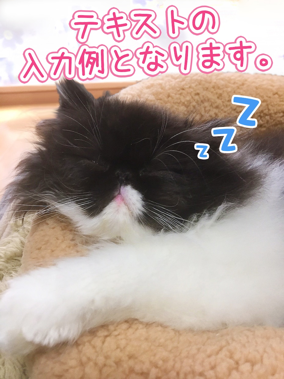 ブリーダーさん自慢の子の写真を修正いたします 3枚から承ります。その子の魅力を最大限活かします！ イメージ4